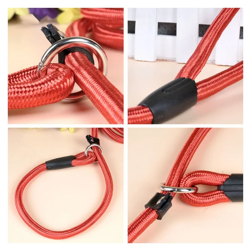 Pet Puppy Dog Leash Slip Rope Lead Leash Nylon Slip Chains Collar No Pull Training Lead Leashes for Small Dogs Black Red Blue