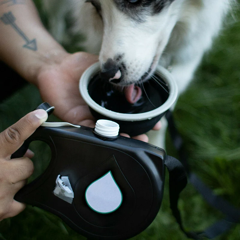 Multifunctional Pet Leash
