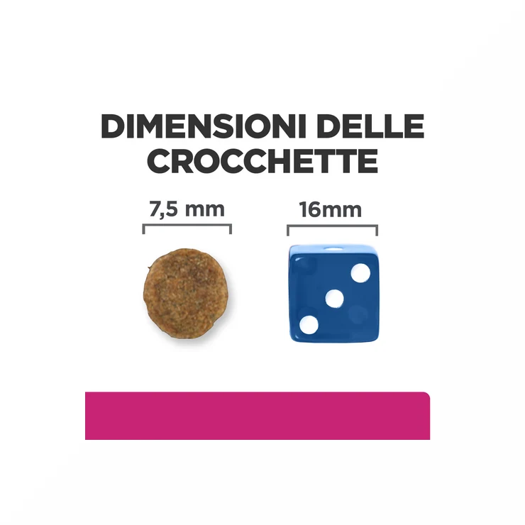 Hill's Prescription Diet Gastrointestinal Biome Crocchette per Cani Taglia Piccola Sacco Da 1 Kg