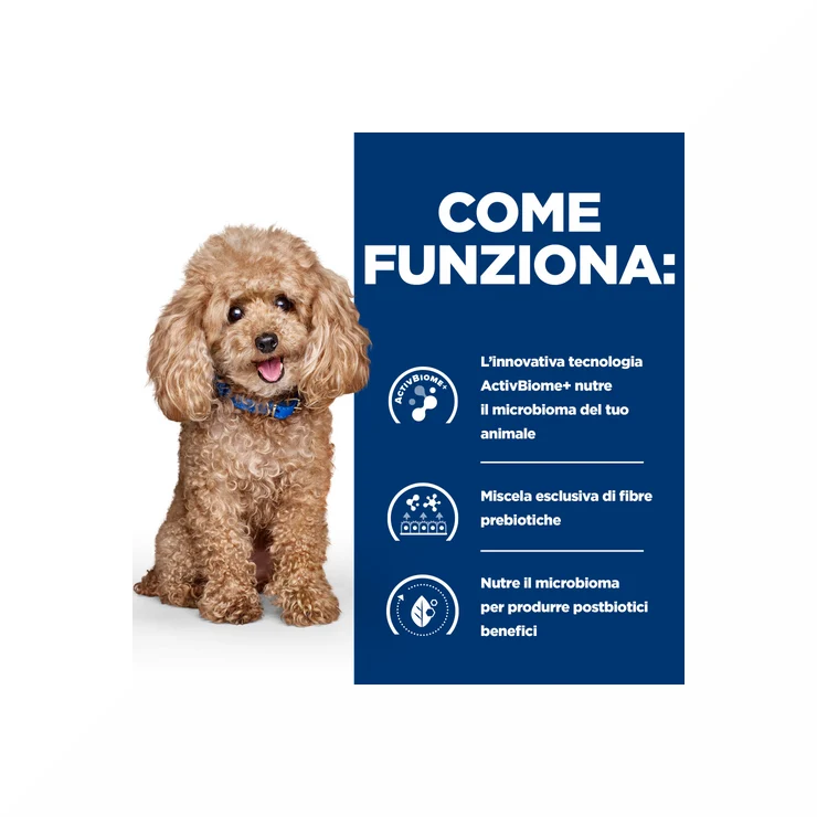 Hill's Prescription Diet Gastrointestinal Biome Crocchette per Cani Taglia Piccola Sacco Da 1 Kg