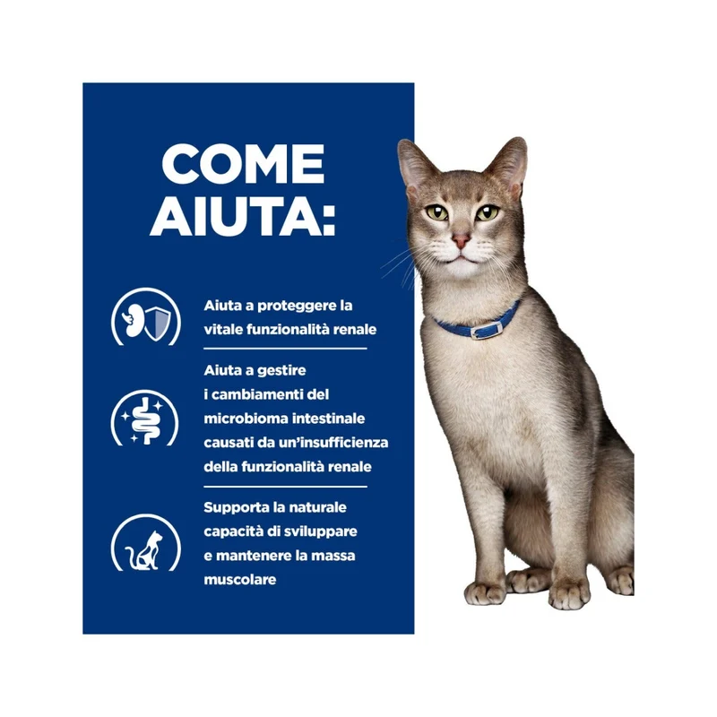 Hill's Prescription Diet K/d Alimento Per Gatti Con Pollo 3kg