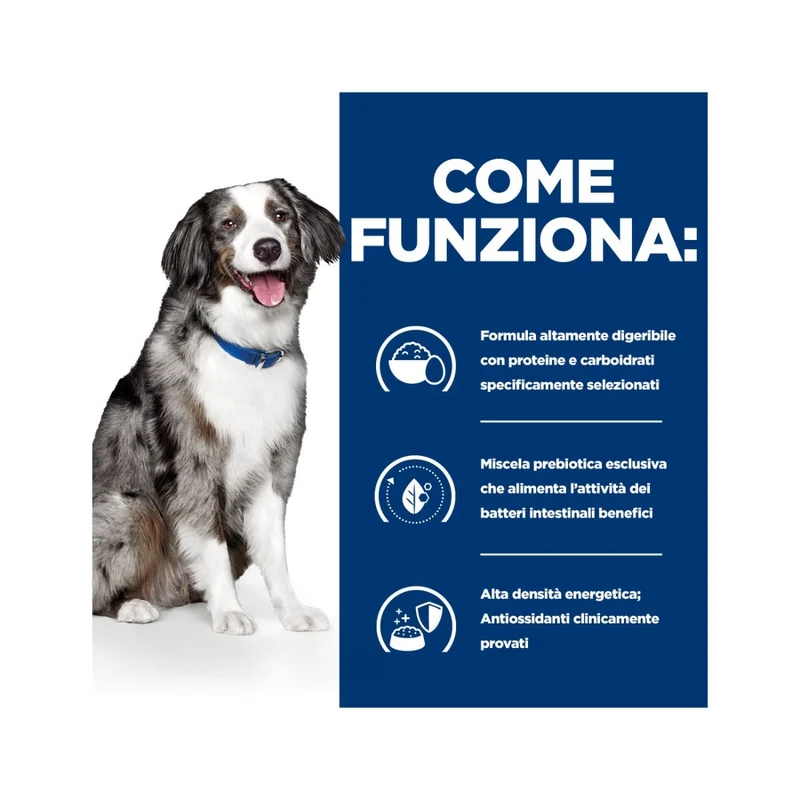 Hill's Prescription Diet I/D Digestive Care Sensitive Crocchette Per Cani Con Uova/Riso Sacco 4kg