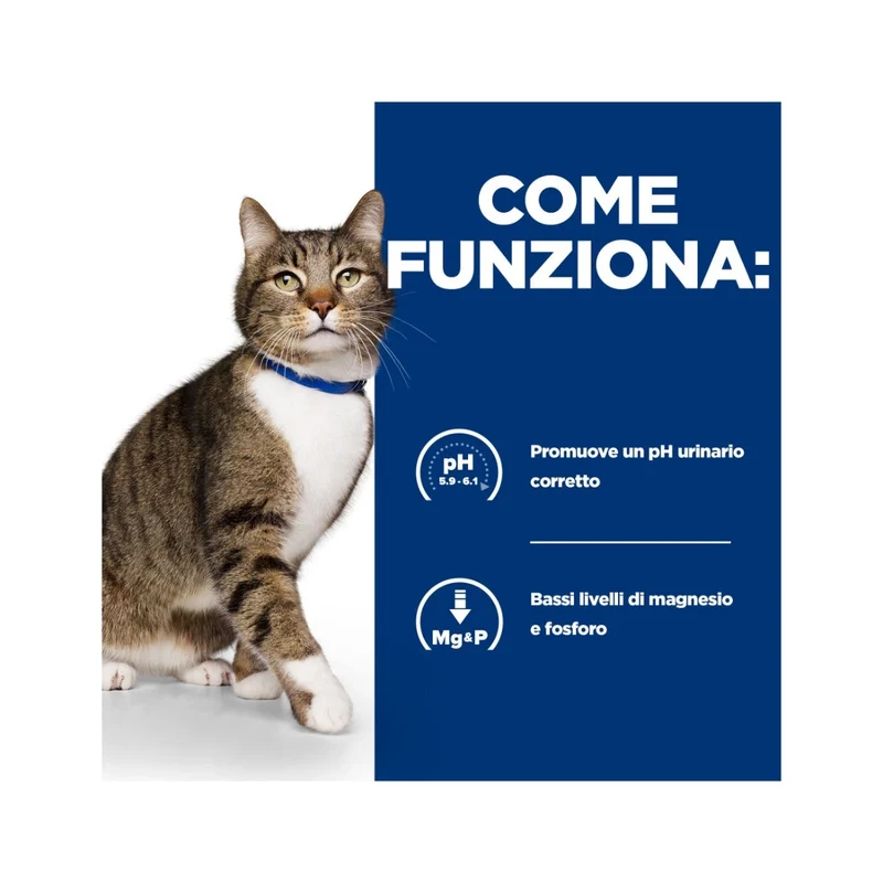 Hill's Prescription Diet S/D Urinary Care Crocchette Per Gatti Sacco 3kg