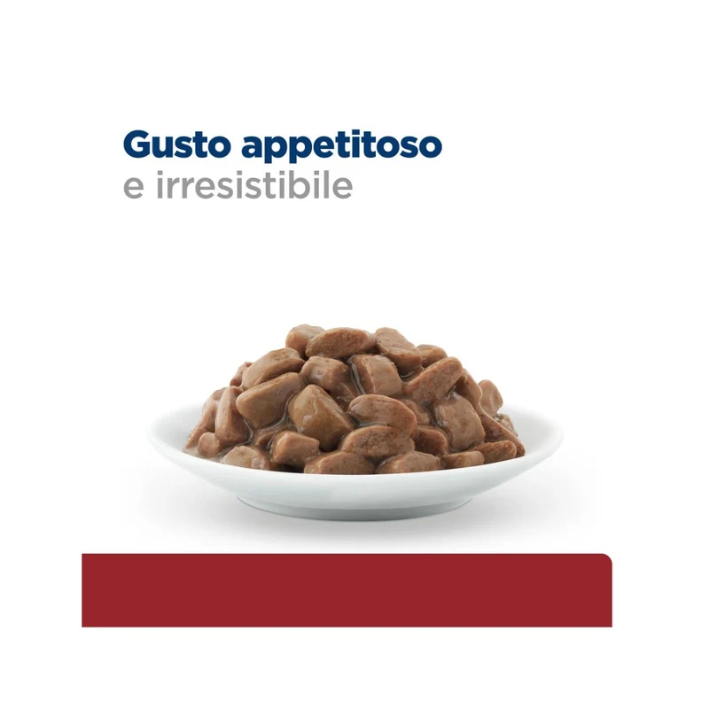 Hill's Prescription Diet Gastrointestinal Biome Crocchette Per Gatti Sacco 300g