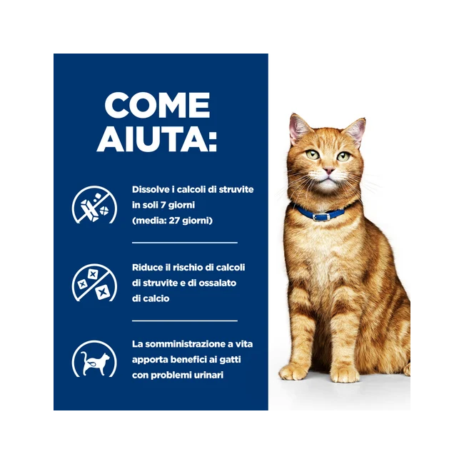 Hill's Prescription Diet C/D Urinary Cibo Umido Pollo Per Gatti Lattina 156g