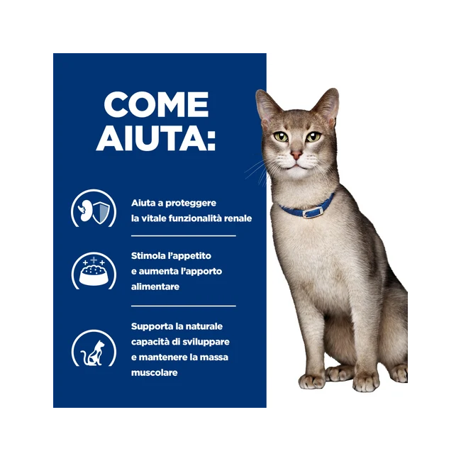 Hill's Prescription Diet K/D Salute Dei Reni Con Pollo Crocchette Per Gatti Sacco 1,5 Kg