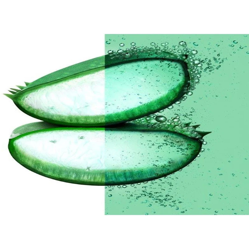 Garnier Fructis Hair Food Shampoo Idratante Aloe 350 ml