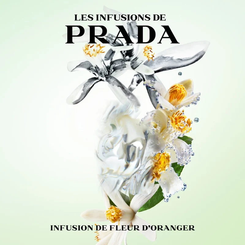 Infusion Fleur D'Oranger