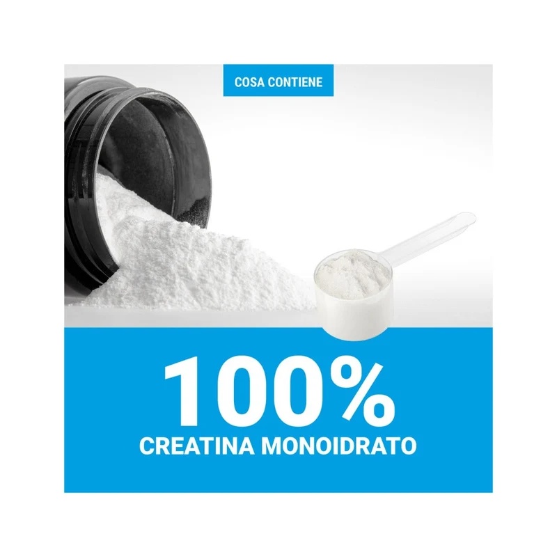 Bestbody Creatina Polvere 200g