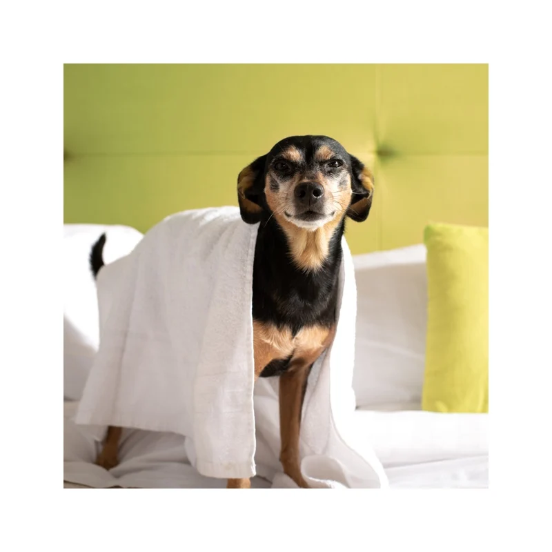 Italian Pet Shampoo Concentrato Naturale Per Animali Domestici Ph Neutro 500ml