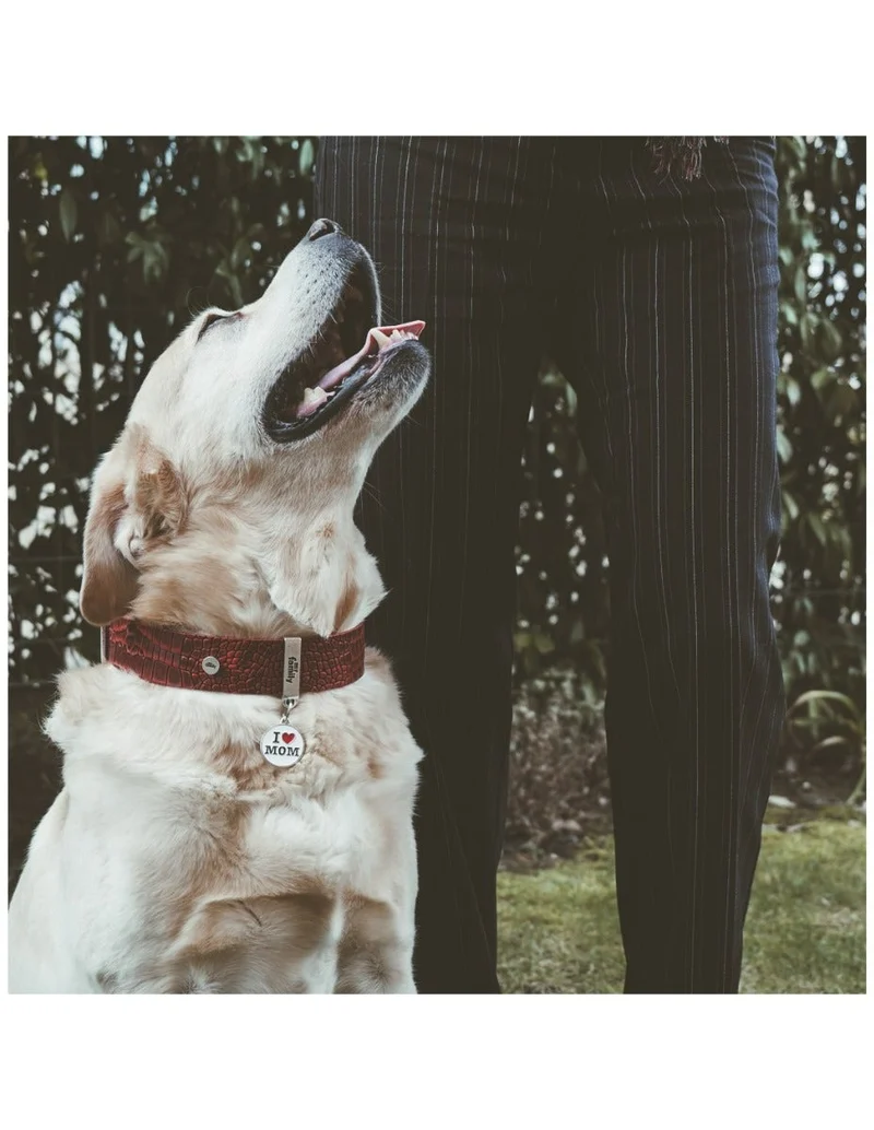 Medaglietta Per Cani E Gatti Personalizzata I Love Mom