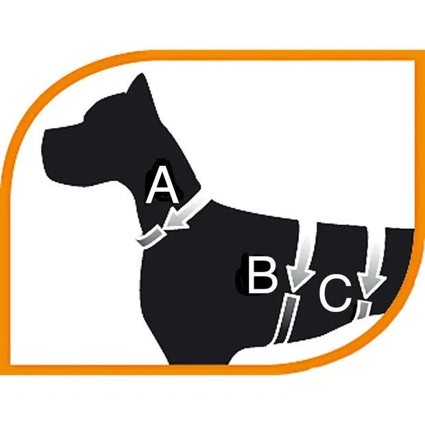 Ferplast Dog Scout Zaino Per Cani Di Taglia Media E Grande