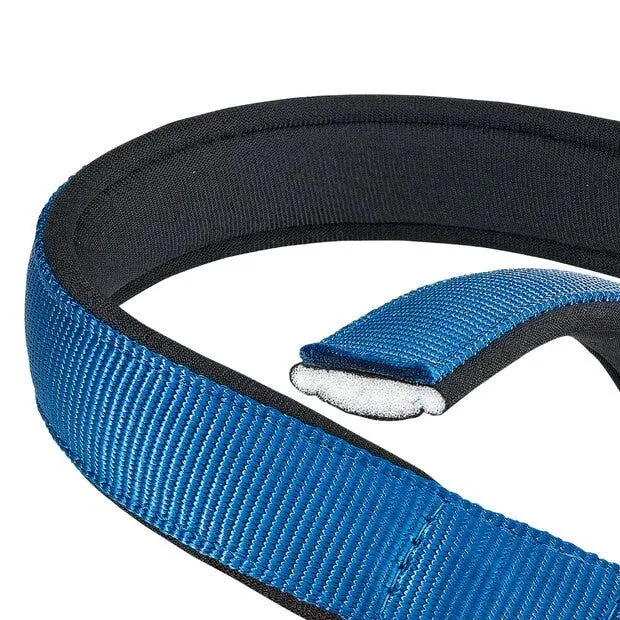 Ferplast Daytona C Collare In Nylon Con Soffice Imbottitura Blu Per Cani C25/53
