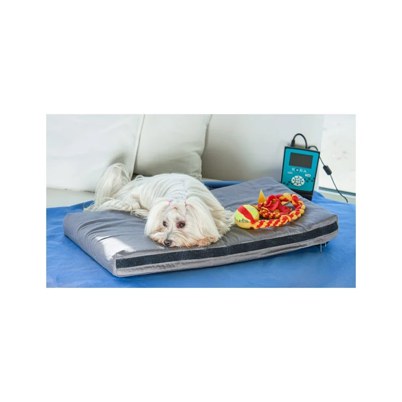 Kora Kit Base Magnetoterapia Cani/Gatti