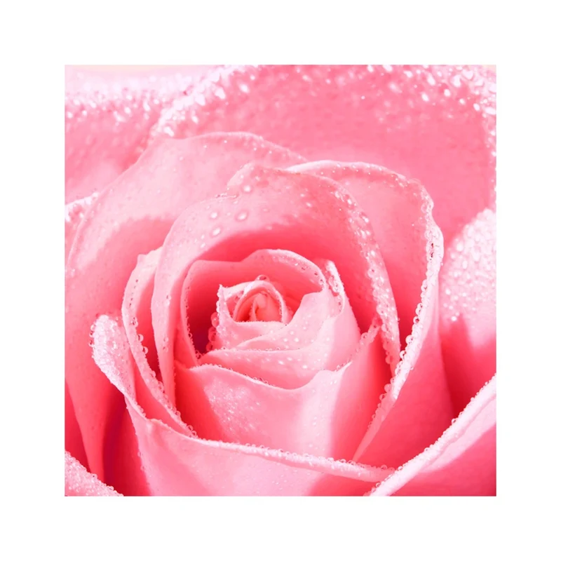 Nuxe Very Rose Crema Mani 50ml
