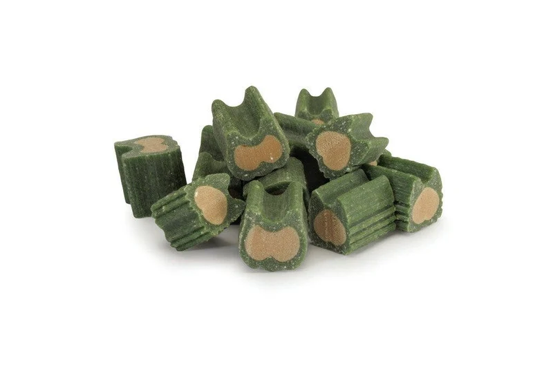 Camon Dental Snack Enzybites Vegetali Per Cani 100g