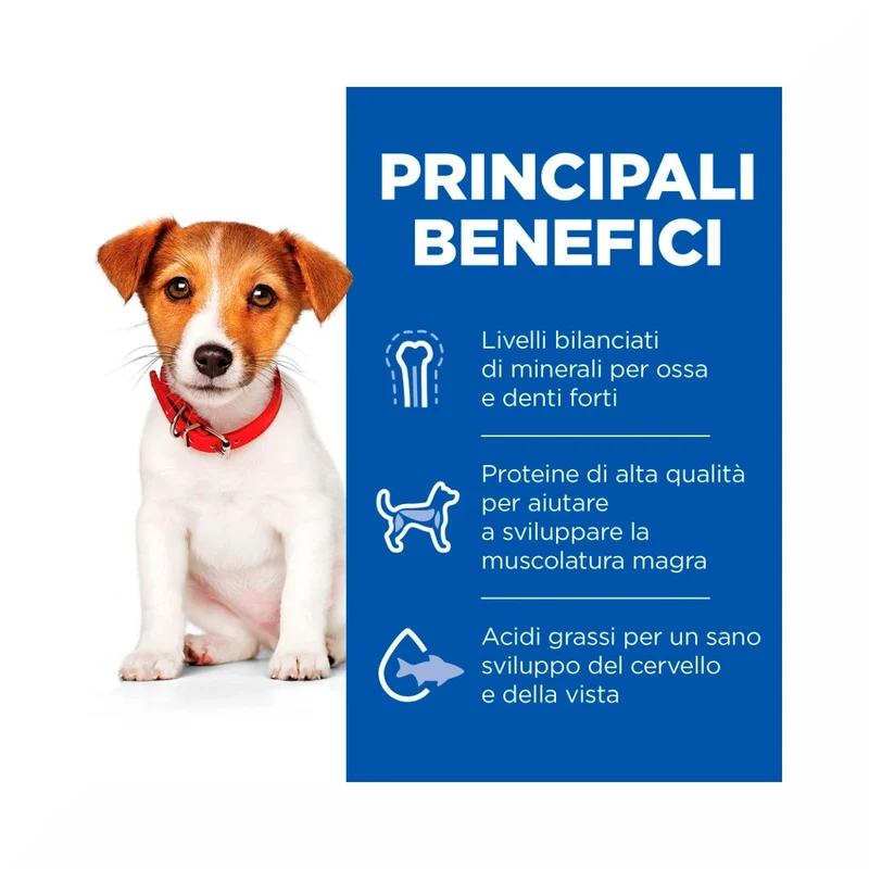 Hill's Science Plan Small & Mini Adult Crocchette con Agnello e Riso per Cani Sacco 6 Kg