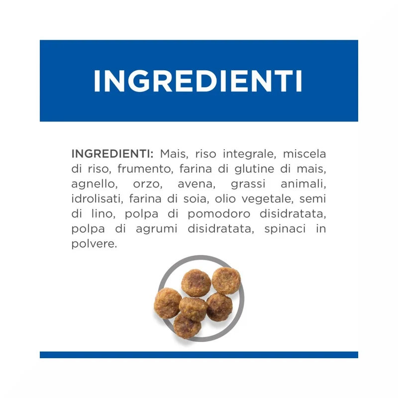 Hill's Science Plan Small & Mini Adult Crocchette con Agnello e Riso per Cani Sacco 6 Kg