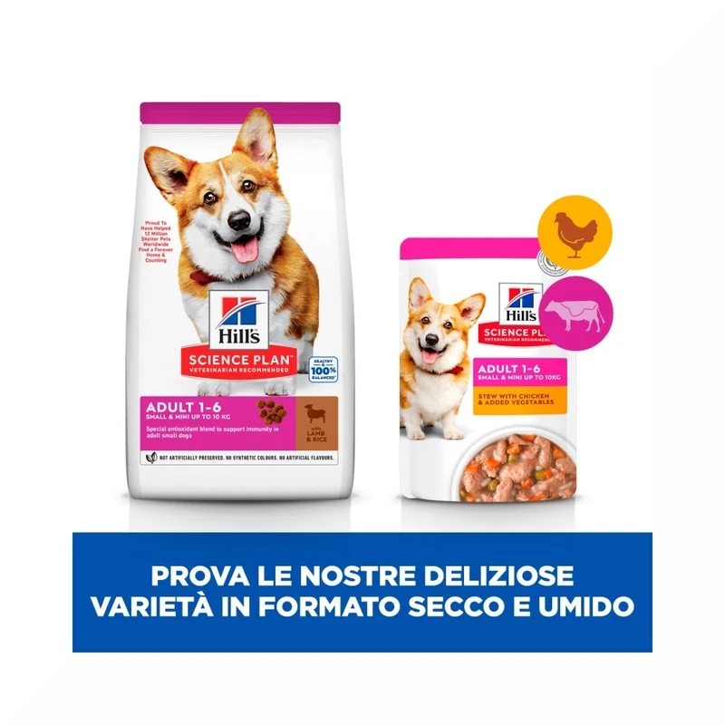 Hill's Science Plan Small & Mini Adult Crocchette con Agnello e Riso per Cani Sacco 6 Kg