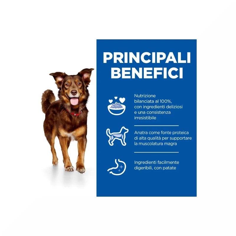 Hill's Science Plan Culinary Creations Adult Crocchette Con Anatra E Patate Per Cani Taglia Media Sacco 14kg