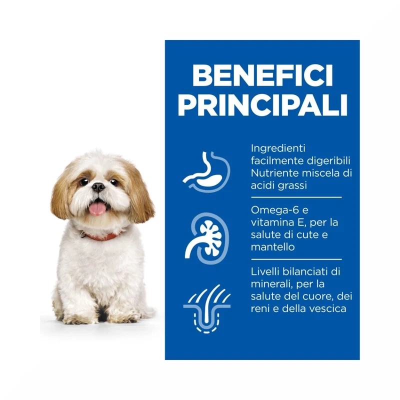 Hill's Science Plan Mature Adult 7+ Crocchette con Pollo per Cani Taglia Piccola Sacco 6 Kg