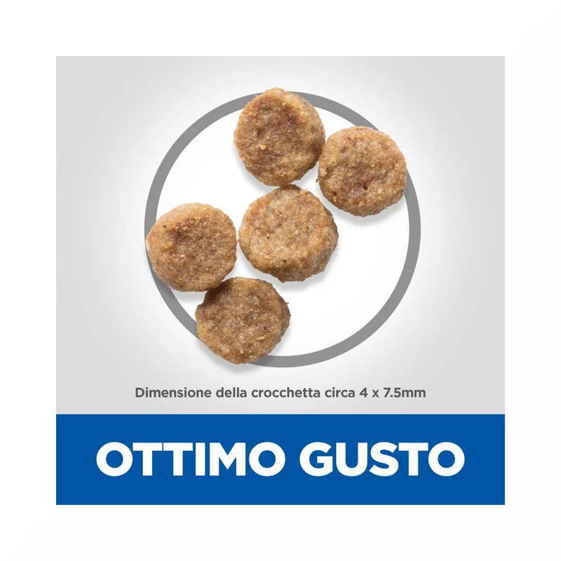 Hill's Science Plan Mature Adult 7+ Crocchette con Pollo per Cani Taglia Piccola Sacco 6 Kg