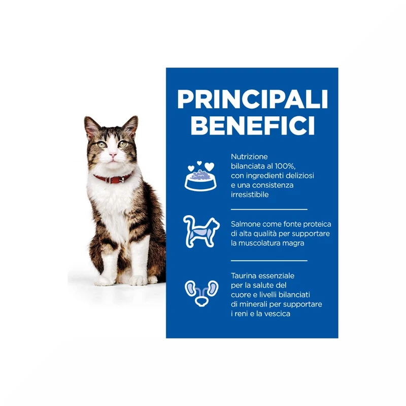 Hill's Science Plan Culinary Creations Medium Adult Crocchette per Gatti con Salmone E Carote 1,5Kg