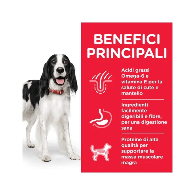 Hill's Science Plan Bocconcini Tacchino Per Cani Adulti Lattina 370g