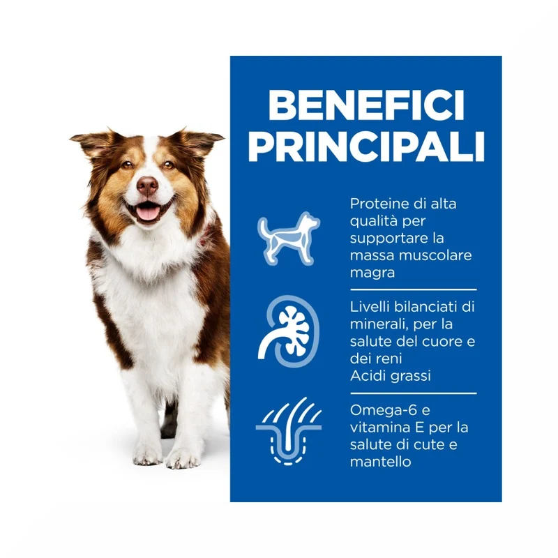 Hill's Science Plan Mature Adult 7+ Crocchette con Pollo per Cani Taglia Media Sacco 14 Kg