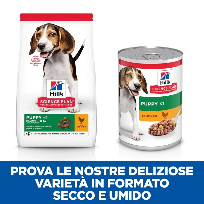 Hill's Science Plan Medium Breed Puppy Crocchette Con Pollo Per Cuccioli Sacco 14 Kg