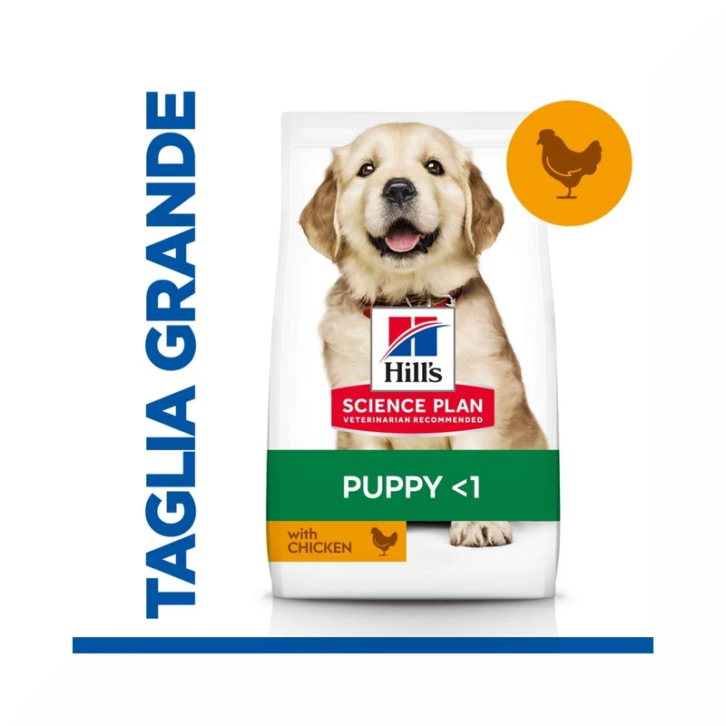 Hill's Science Plan Large Breed Puppy Crocchette Con Pollo Per Cuccioli Sacco 14,5Kg