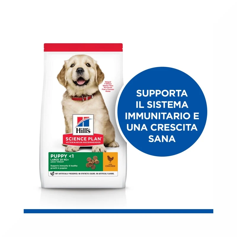 Hill's Science Plan Large Breed Puppy Crocchette Con Pollo Per Cuccioli Sacco 14,5Kg