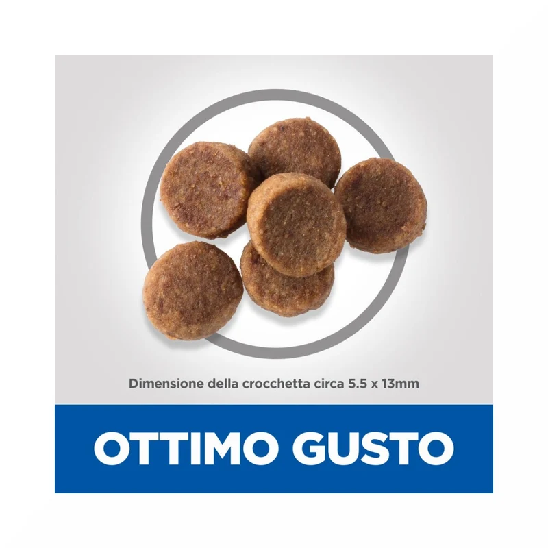 Hill's Science Plan Large Breed Puppy Crocchette Con Pollo Per Cuccioli Sacco 14,5Kg