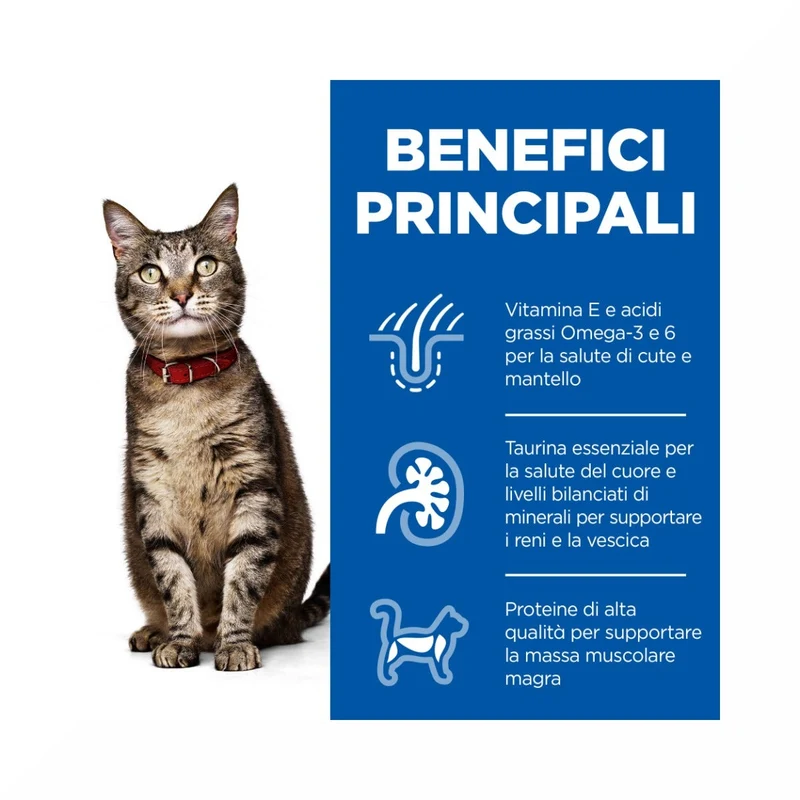Hill's Science Plan Adult Crocchette per Gatti al Pollo 10Kg