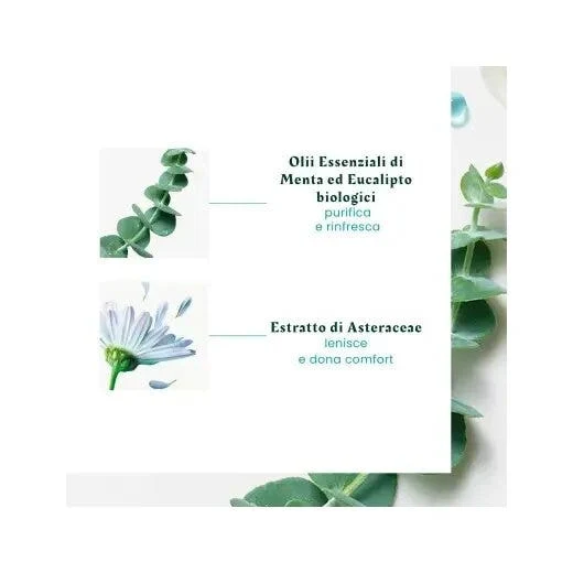 René Furterer Astera Head Spa Concentrato Lenitivo Cuoio Capelluto 50ml