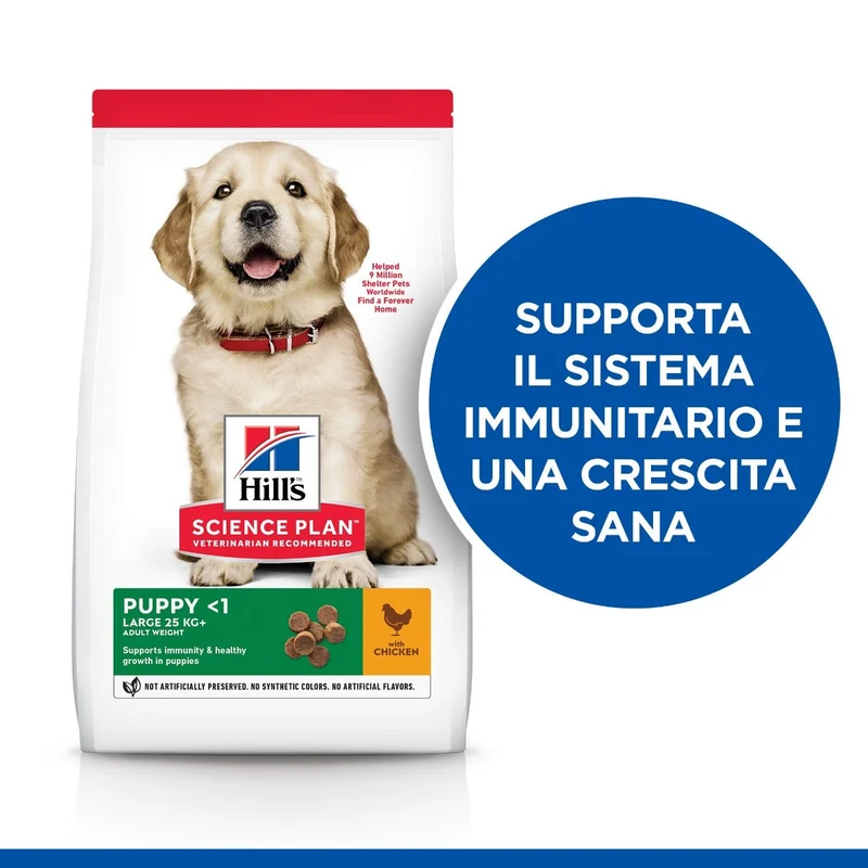 Hill's Science Plan Large Breed Puppy Crocchette Con Pollo Per Cuccioli Sacco 2,5 Kg
