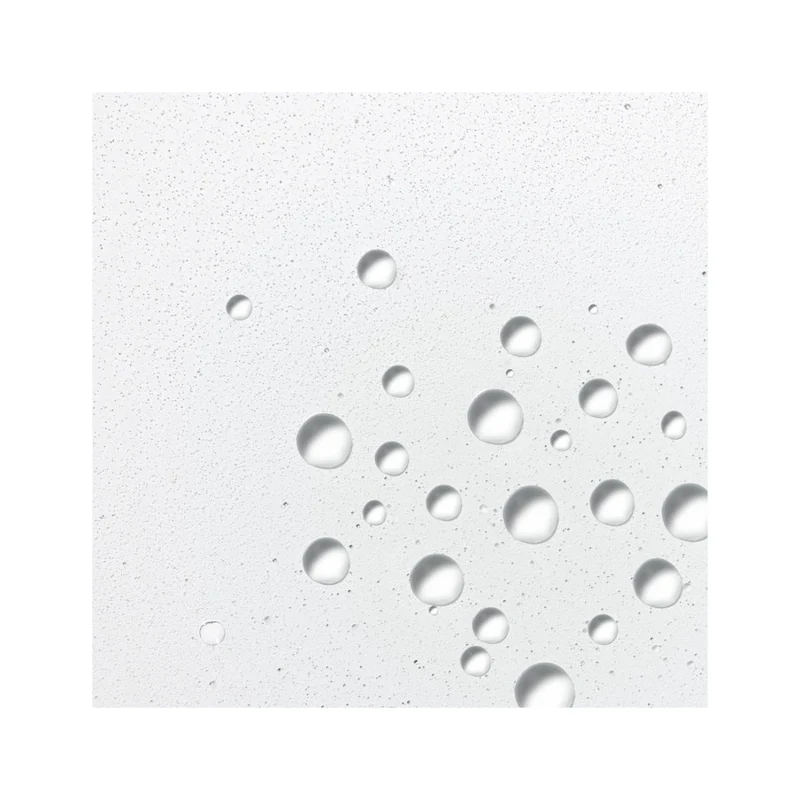 Dermalogica Hyaluronic Ceramide Mist Tonico Acido Ialuronico 150ml