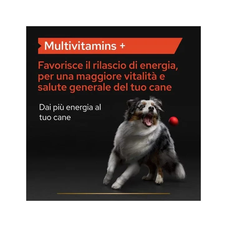 Purina Pro Plan Dog Supplement Multivitamins+ Alimento Complementare Per Cani 67g