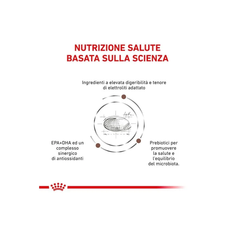 Royal Canin Veterinary Diet Gastrointestinal Cibo Secco Per Cani Adulti Sacco 7,5kg