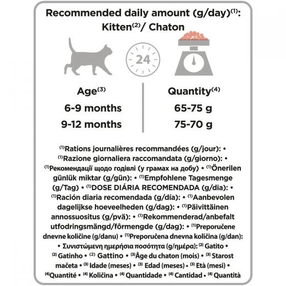 Purina Pro Plan Sterilised Kitten Crocchette Salmone Sacco 1,5kg