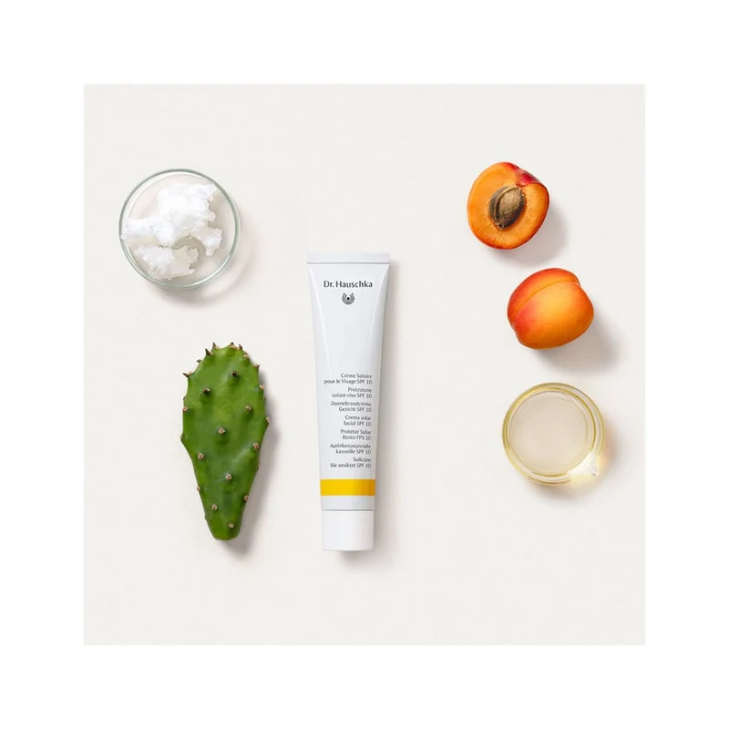 Dr. Hauschka Protezione Solare Colorata SPF 10 Viso 40ml