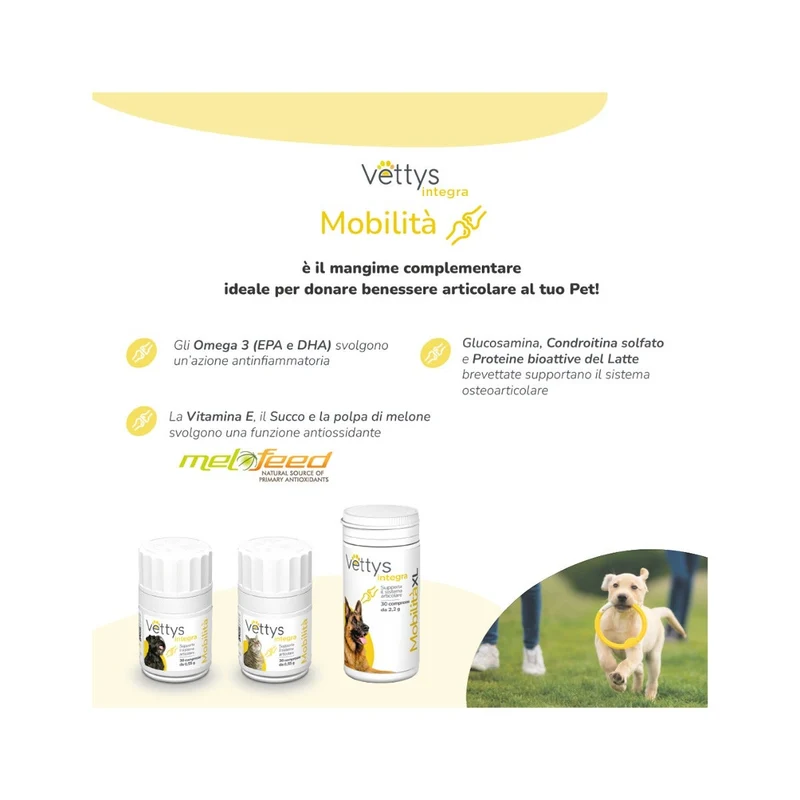 Vettys Integra Mobilità Per Gatti 30 Compresse