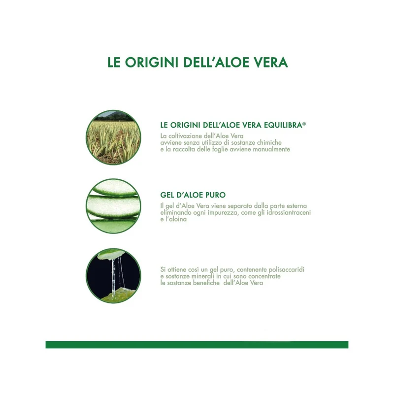 Equilibra Aloe Vera Digest Con Zenzero 500ml