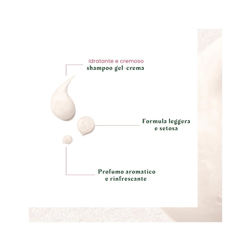 Rene Furterer Neopur Shampoo Antiforfora Secca 150ml